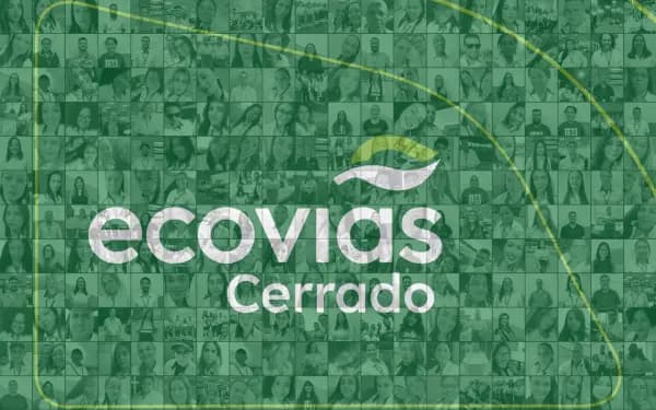 Mural de Fotos — Plataforma web
